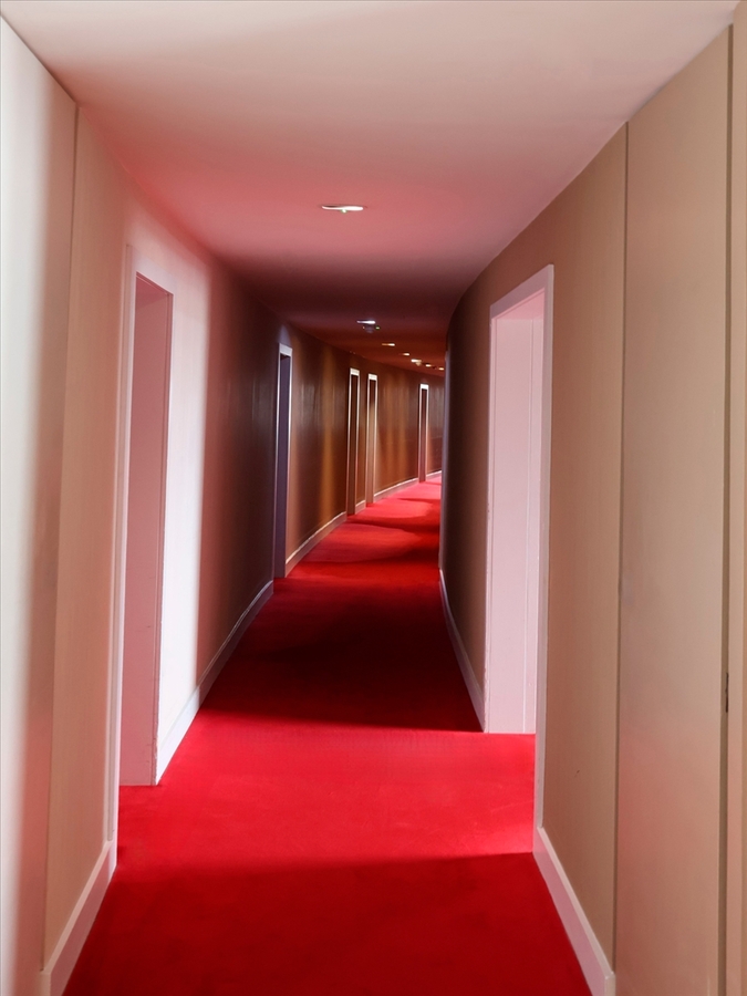 Corridor of Power - Martin Hamer